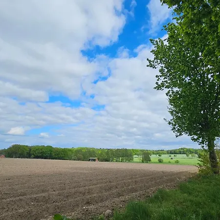 Walsrode Nr1eg Stellichte